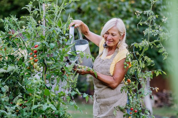 L'éveil de la nature dans votre quotidien : Cultiver la sérénité avec un jardin à la maison